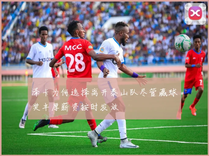 泽卡为何选择离开泰山队尽管赢球奖丰厚薪资按时发放